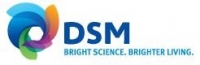 DSM Engineerings Plastics